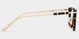 Rayne Tortoise Square Glasses4