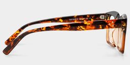 Grover Tortoise Rectangle Glasses3